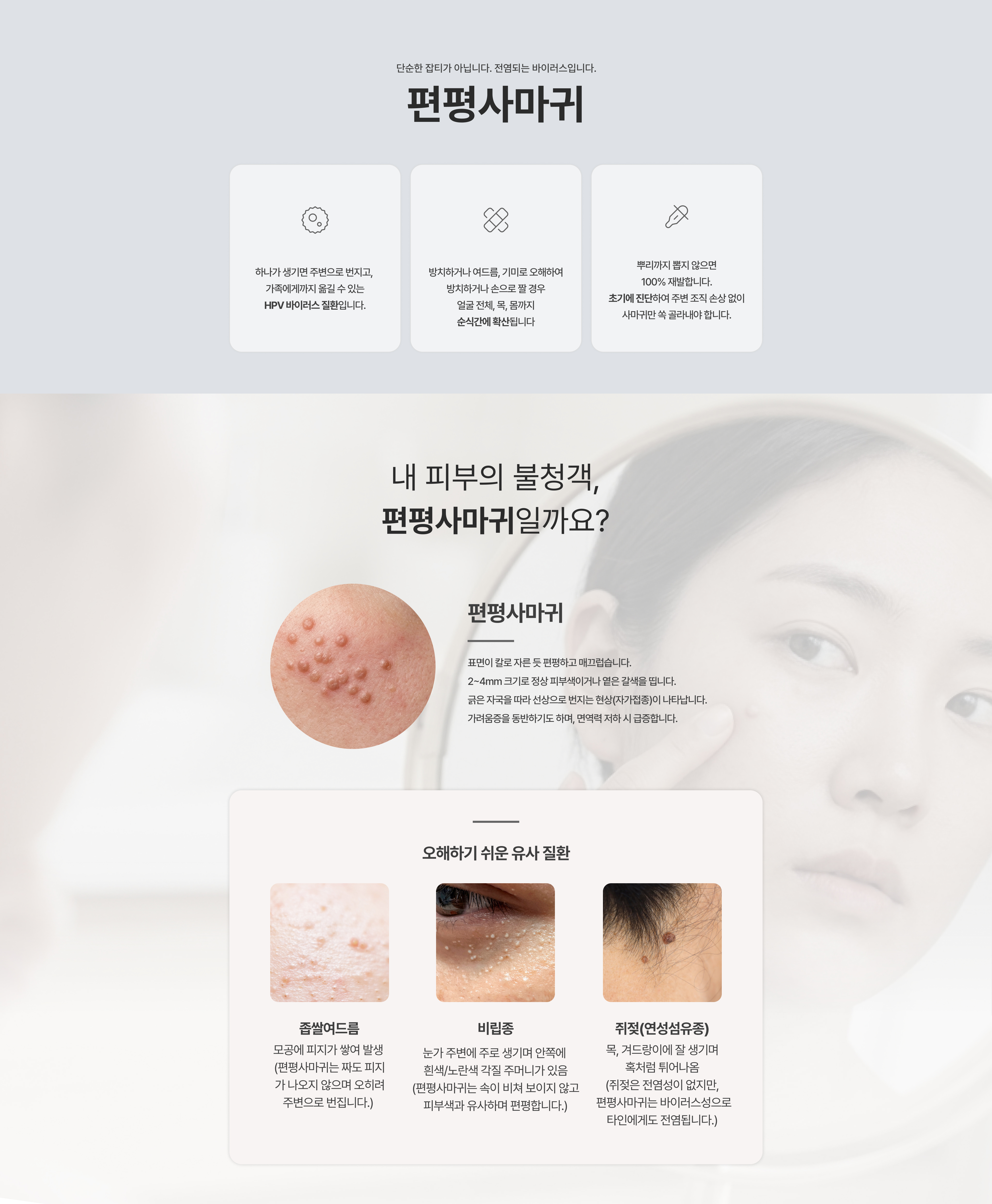 편평사마귀란